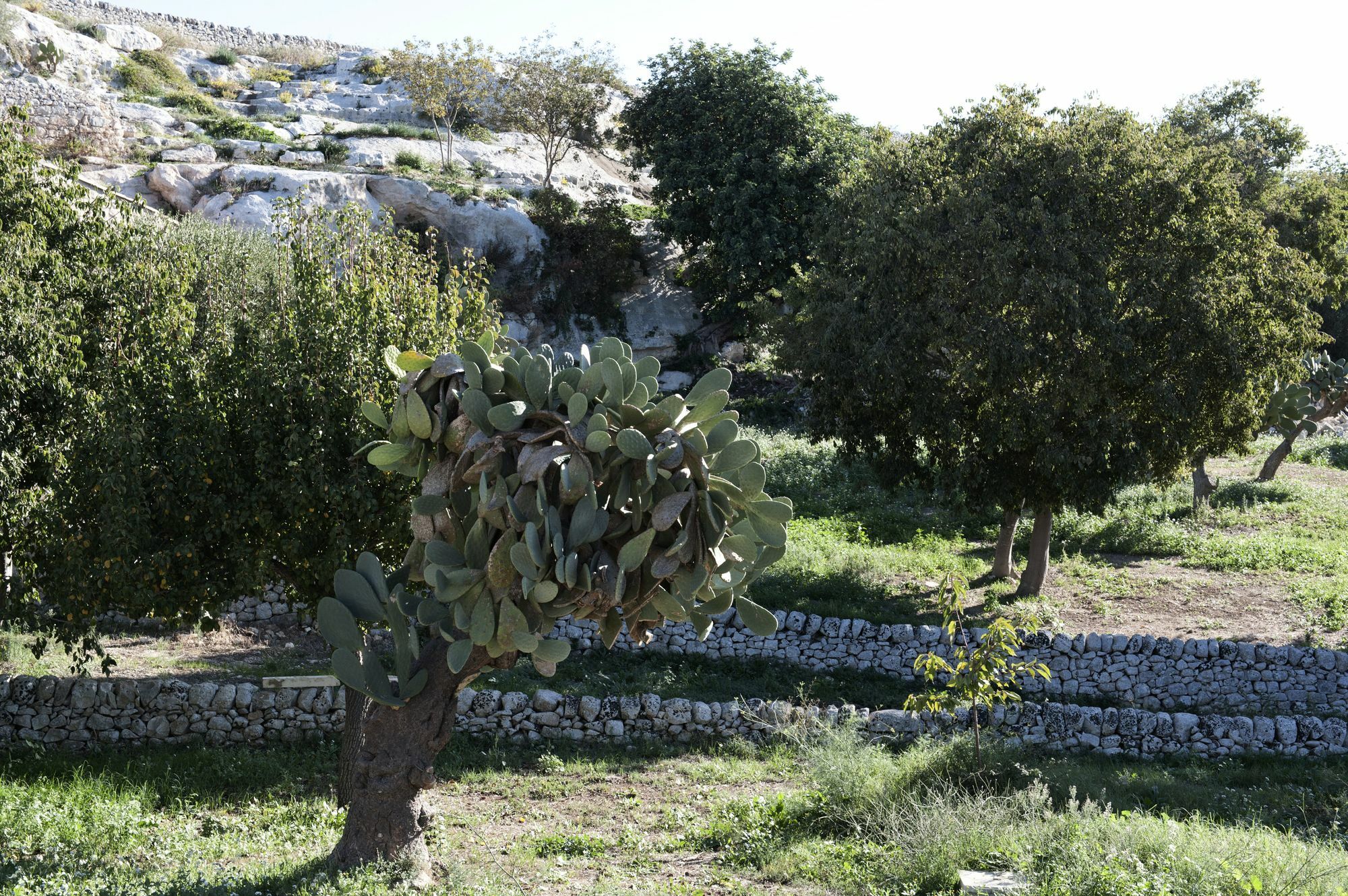 Valle Dell'Acanto Modica Exterior photo